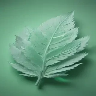 mint green bg