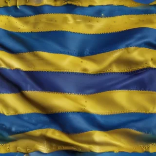 ukrainian flag