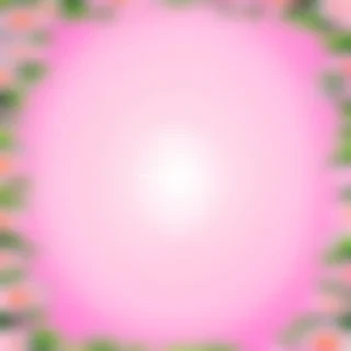 cute plain wallpapers