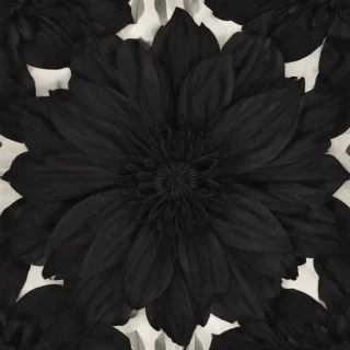black flower