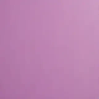 mauve background