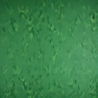 green background plain