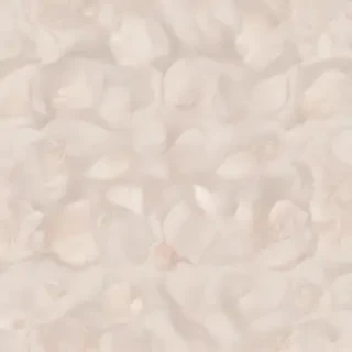aesthetic neutral wallpaper