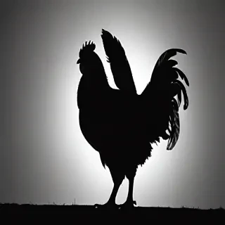 silhouette of a chicken