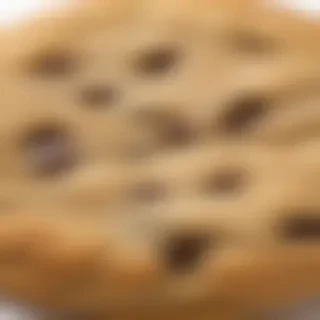 chocolate chip cookie png