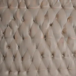 bed back ground