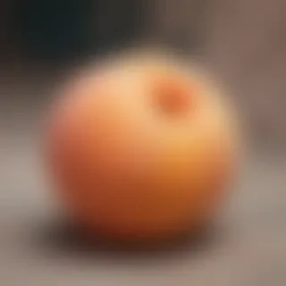 peach aesthetic wallpaper