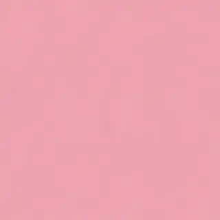 pink plain bg