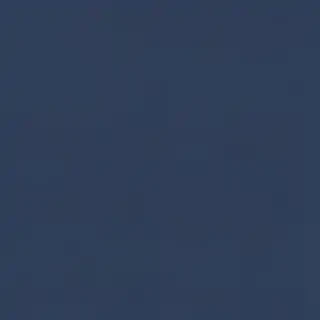 light navy blue background