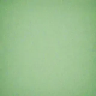 light sage green background