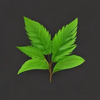 greenery png