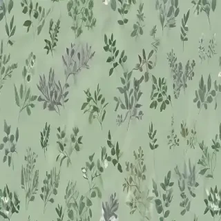 sage green aesthetic background