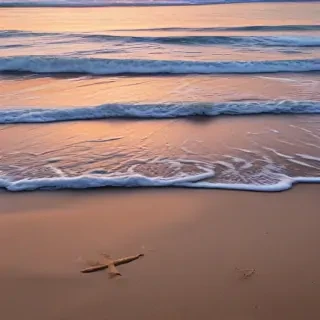 iphone beach wallpaper