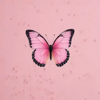 butterfly pink