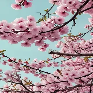 spring iphone background