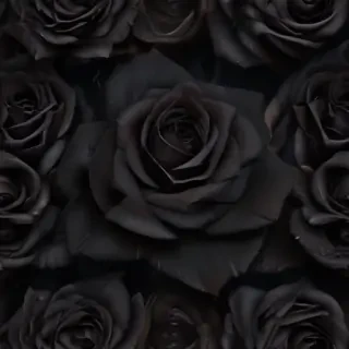 black roses background
