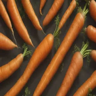 carrot png