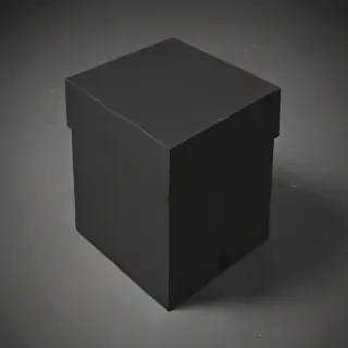 black box image