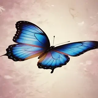 butterfly back ground