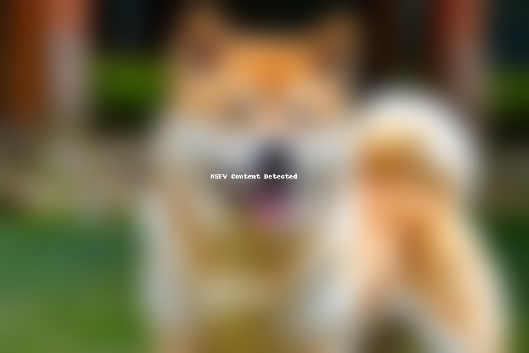 akita inu dog breed