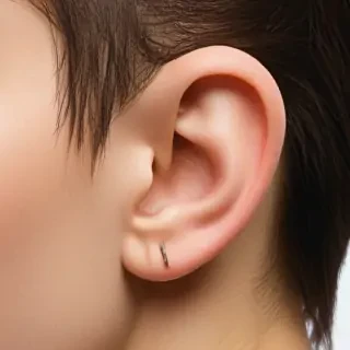 ear png