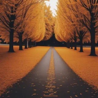 fall wallpapers iphone