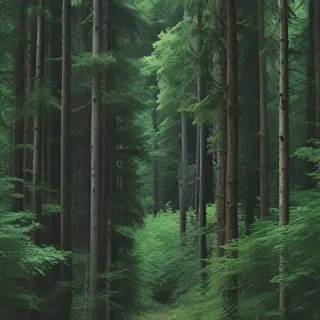 green forest aesthetic