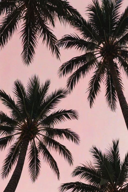 aesthetic palm tree wallpaper