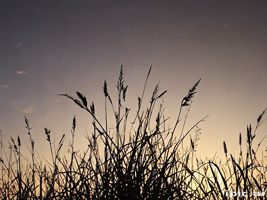 grass silhouette