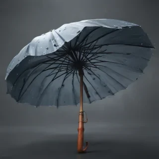 png umbrella