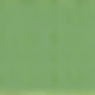 green background plain