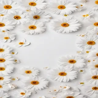 flower white background