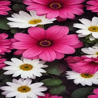 flower computer wallpaper