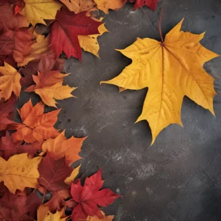 autumn background iphone