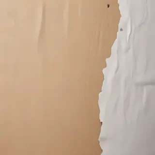 ripped paper texture