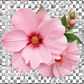 blossom png