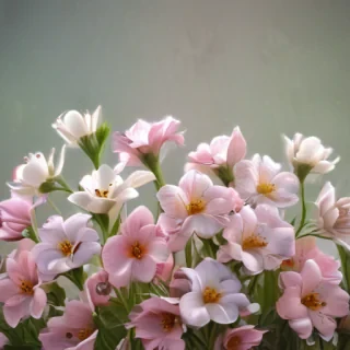 simple flower background