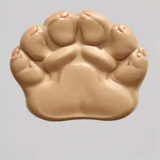paw png