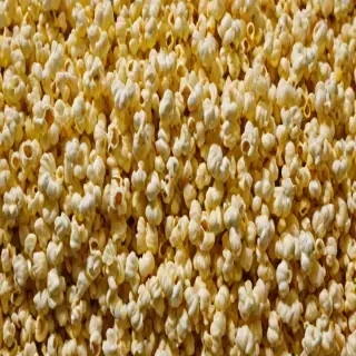 png popcorn