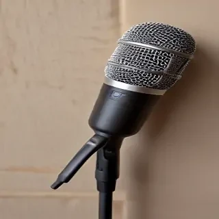 microphone .png