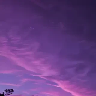 aesthetic purple pictures