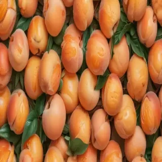 peach background wallpaper