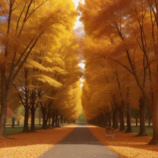 autumn png