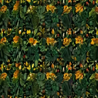 plant backgrounds