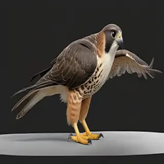 falcon png