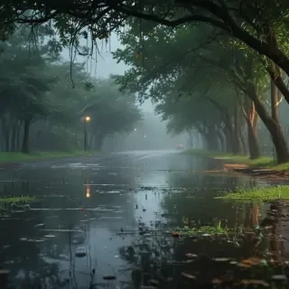 rainy backgrounds