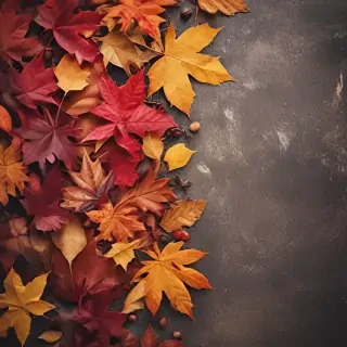iphone backgrounds fall