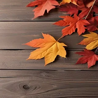 fall iphone background