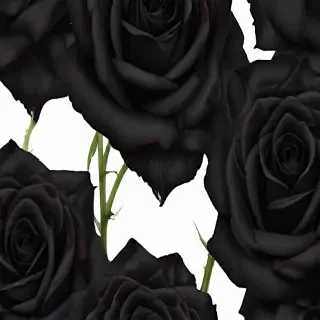 black roses png