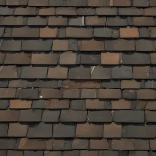 shingles images